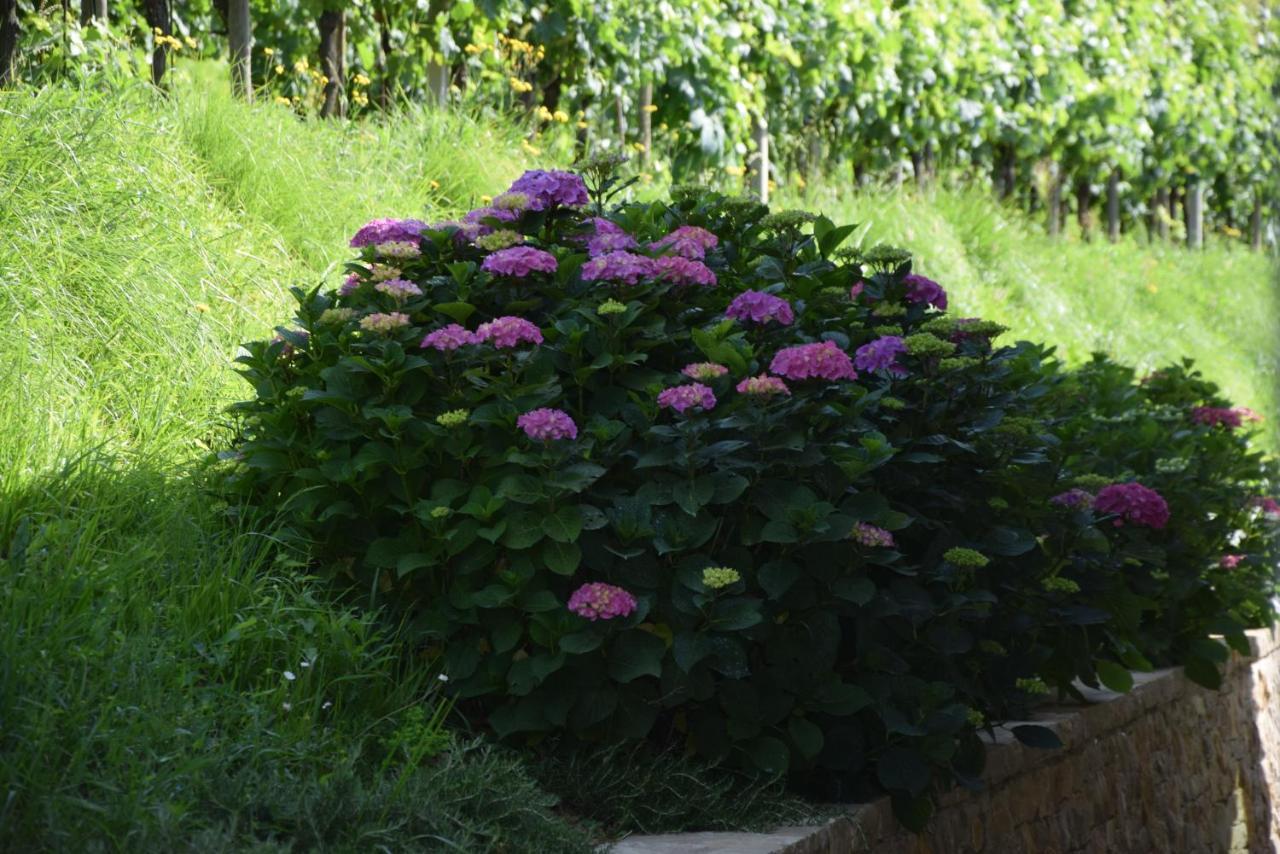 Al-Colle Bed & Breakfast Sotto il Monte Exterior photo